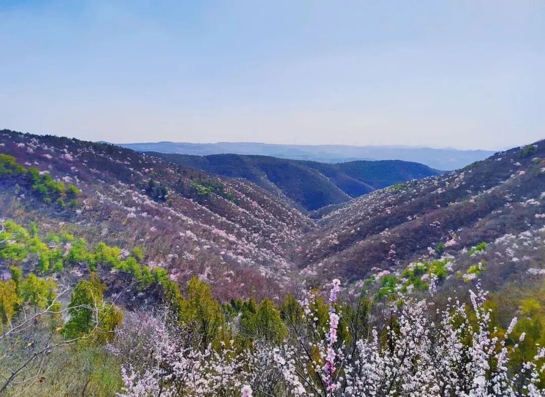 3月1日起，青天河对全国游客免门票！