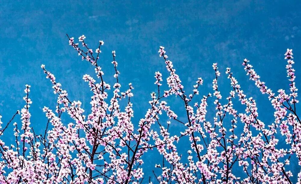 3月1日起，青天河对全国游客免门票！