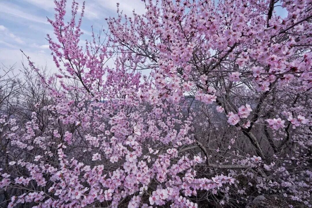 3月1日起，青天河对全国游客免门票！