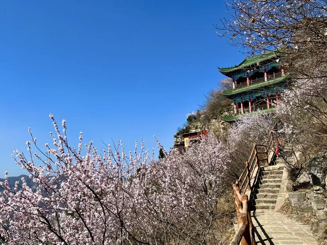 免门票、半价游！我市多家景区官宣！