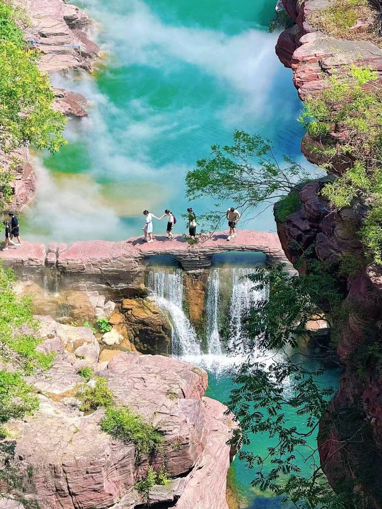 免门票、半价游！我市多家景区官宣！