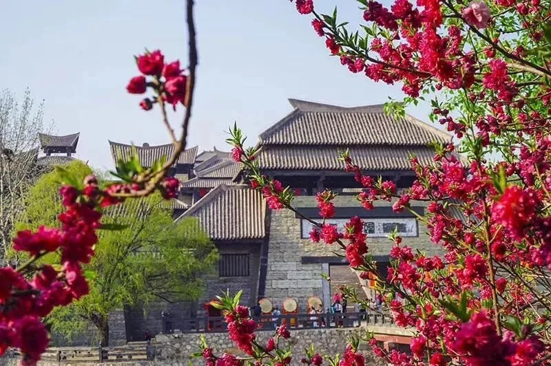 免门票、半价游！我市多家景区官宣！