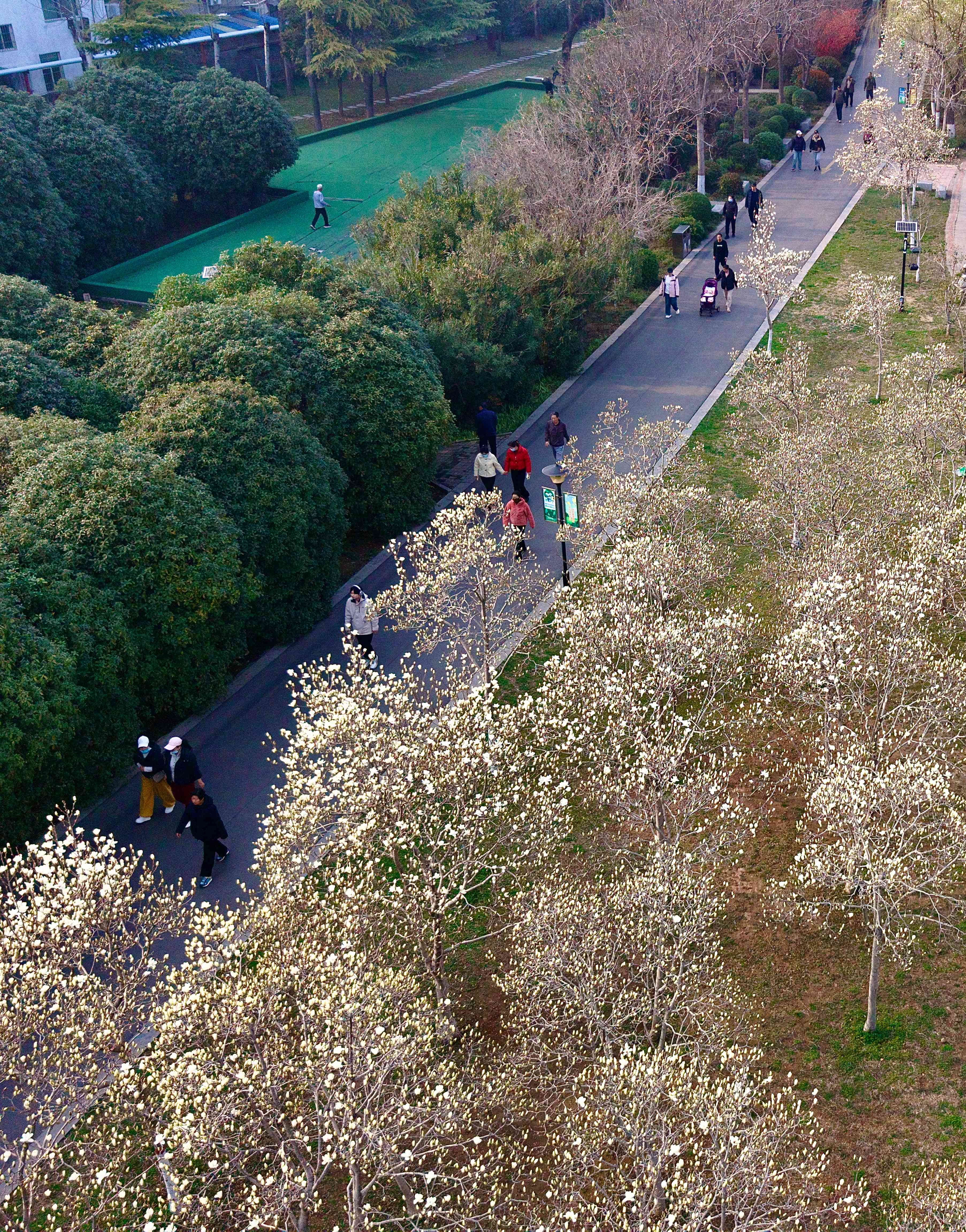 @焦作人 来月季公园赏春花！