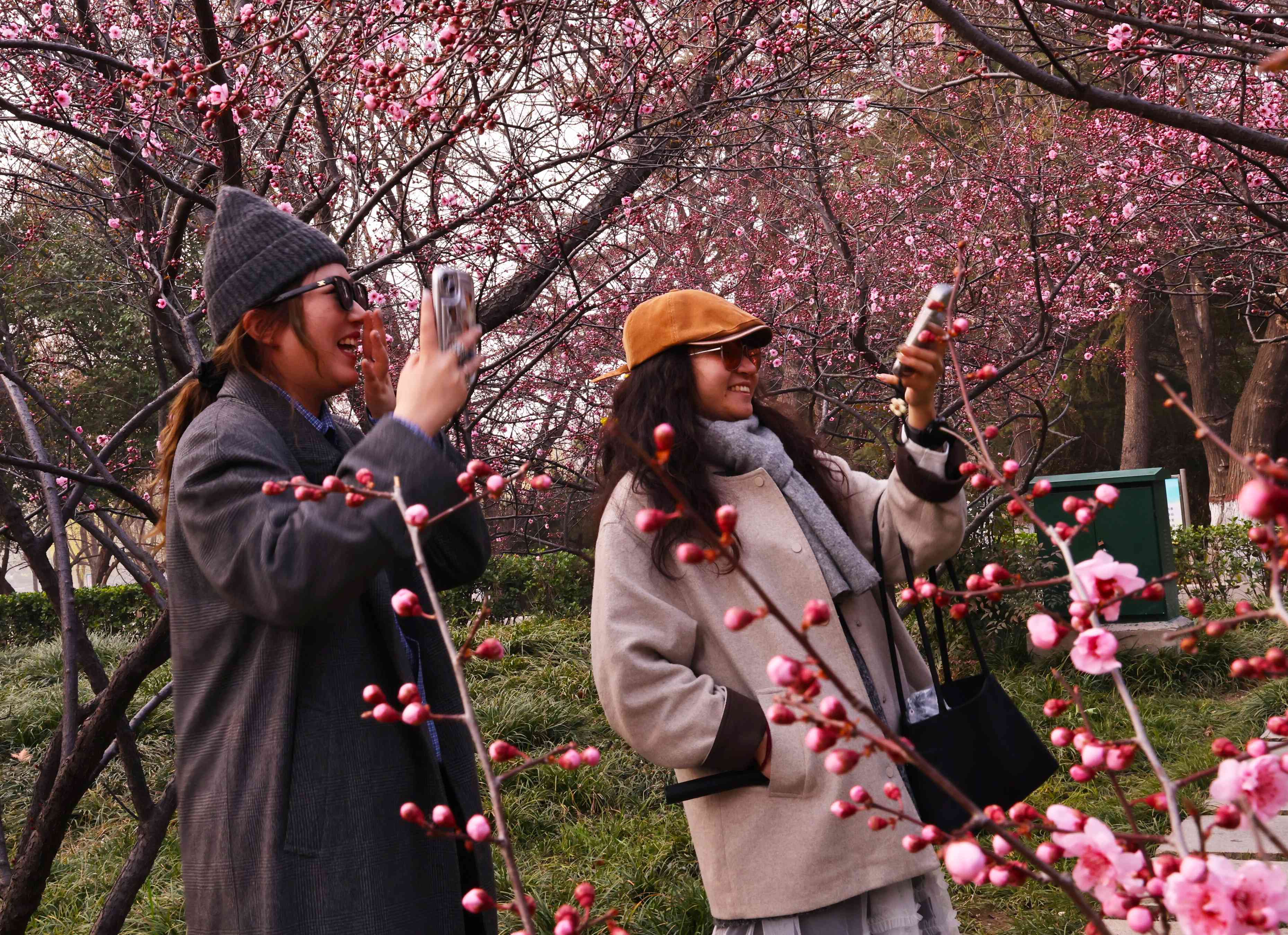 @焦作人 来月季公园赏春花！