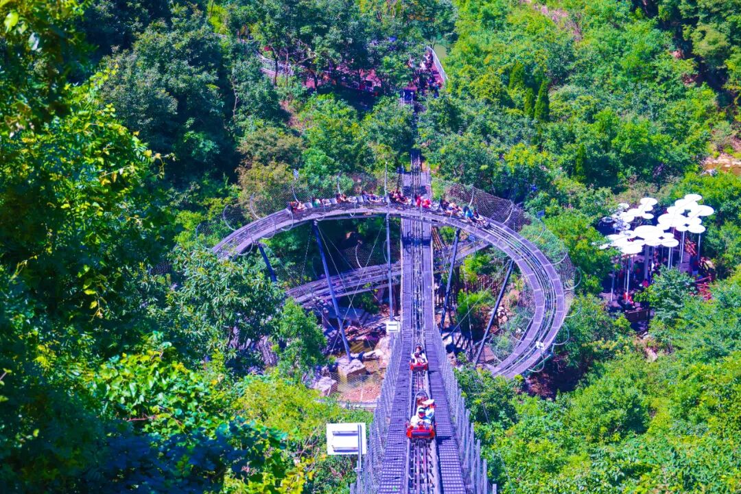 上春山！云台山最新票务信息来啦！