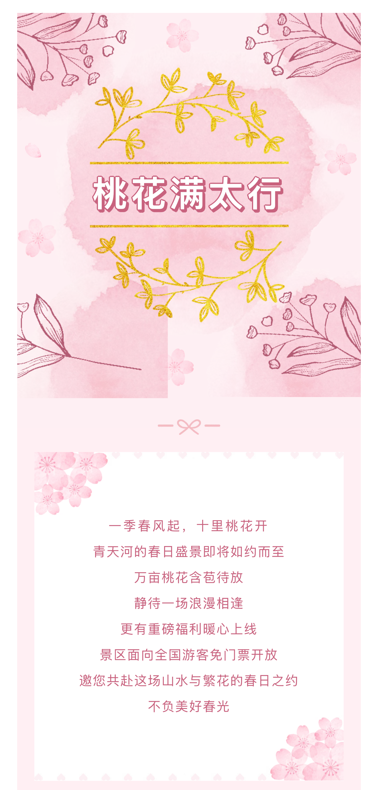 青天河万亩桃花将绽放！全国游客免费游！