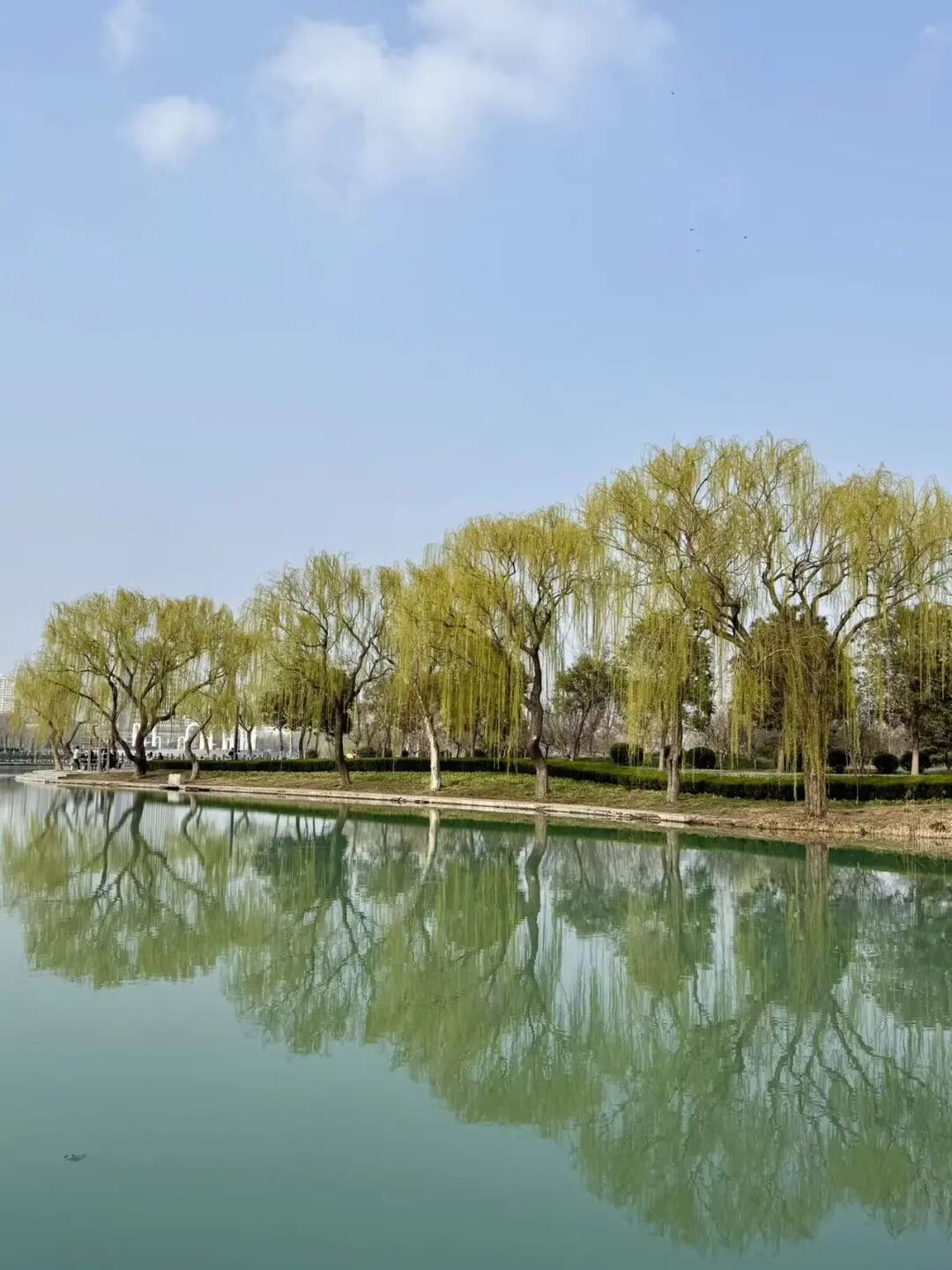 走进龙源湖公园，拥抱一整个春天！