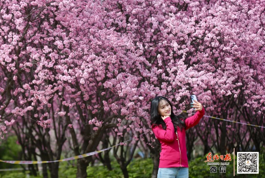 来焦作，赴一场春天的约会！