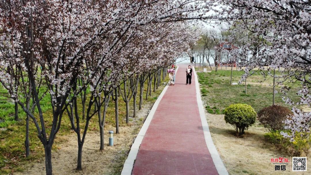 焦作7座体育公园，都有哪些运动清单？