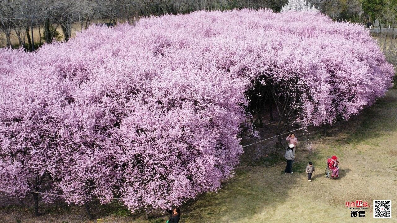 焦作7座体育公园，都有哪些运动清单？