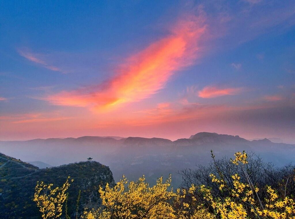 来焦作这里，赴一场花海之约！