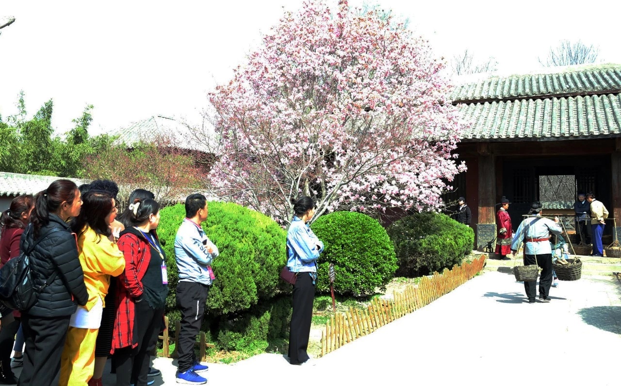 剧组扎推！网友在楚王宫的花海里穿越了——