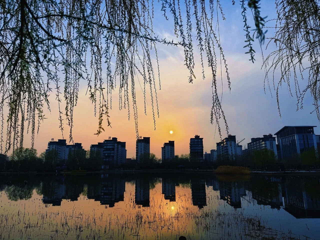 超级出片！焦作这条赏春线路推给你！