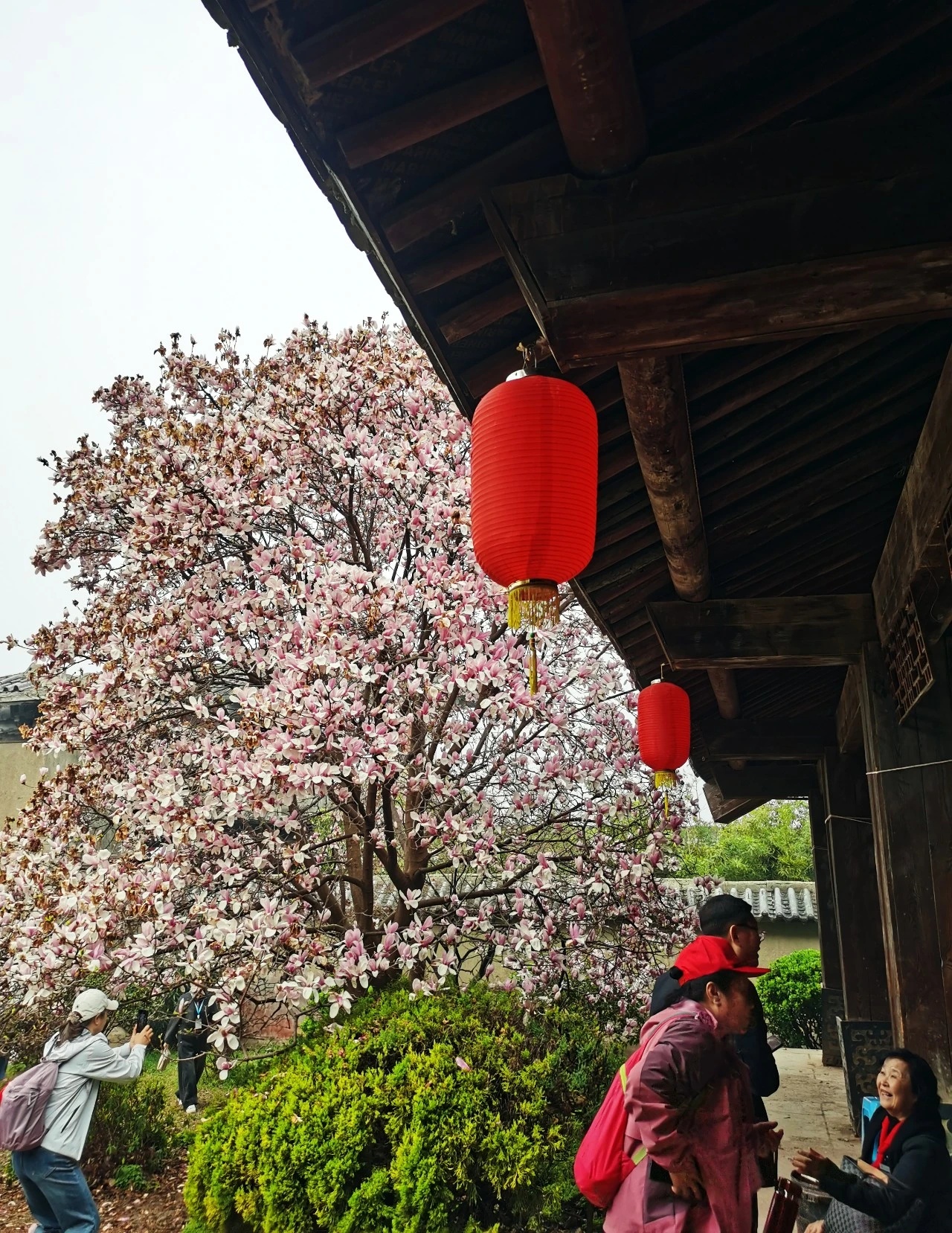 剧组扎推！网友在楚王宫的花海里穿越了——