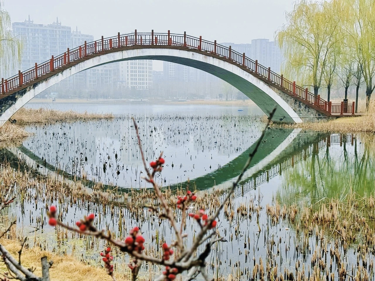 超级出片！焦作这条赏春线路推给你！