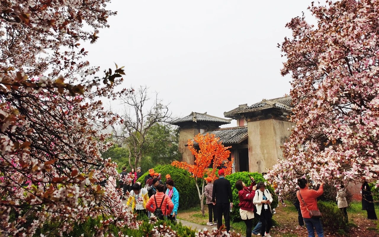 剧组扎推！网友在楚王宫的花海里穿越了——