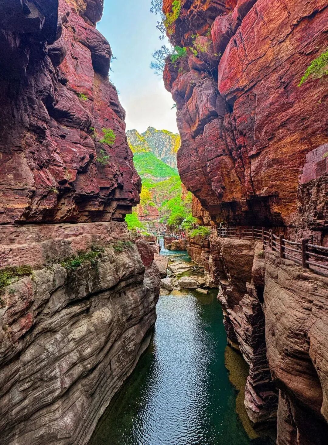 惬意修武！千年古县的正确打开方式！