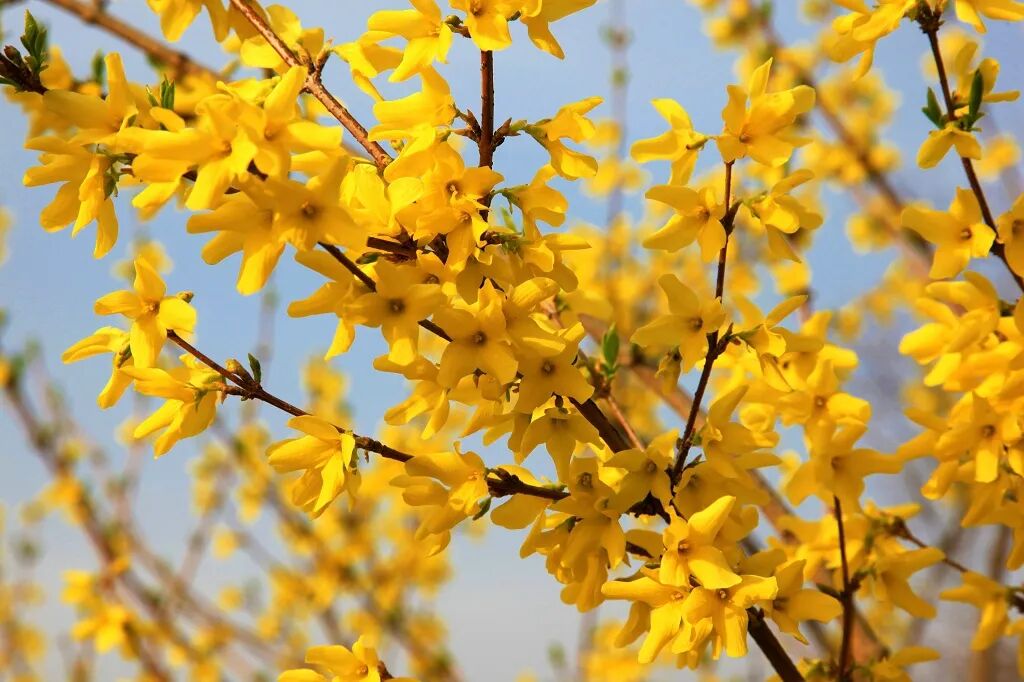 惬意修武！千年古县的正确打开方式！