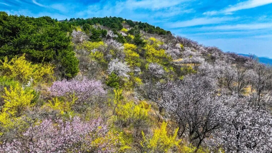 惬意修武！千年古县的正确打开方式！