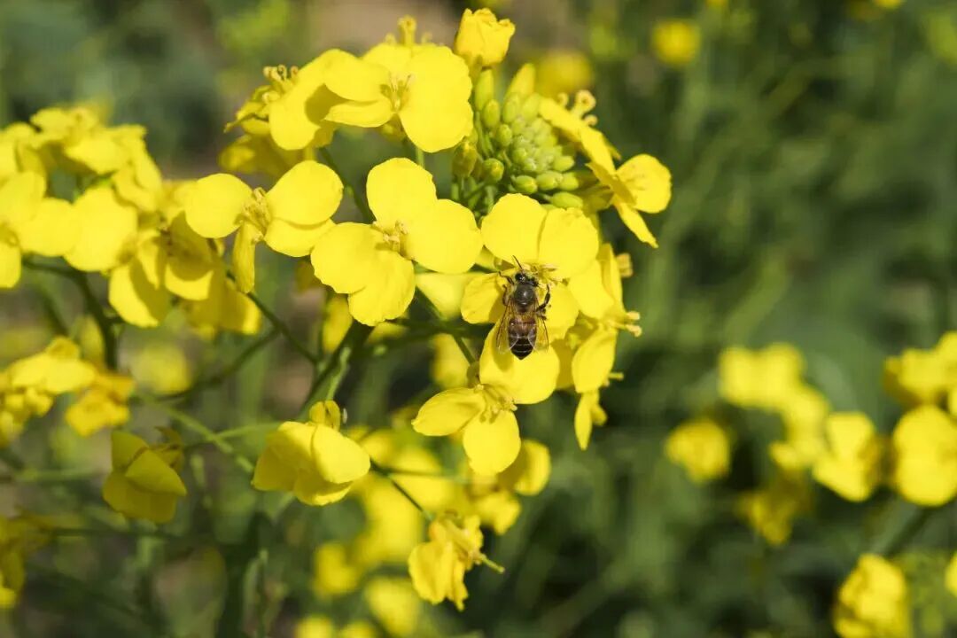 惬意修武！千年古县的正确打开方式！