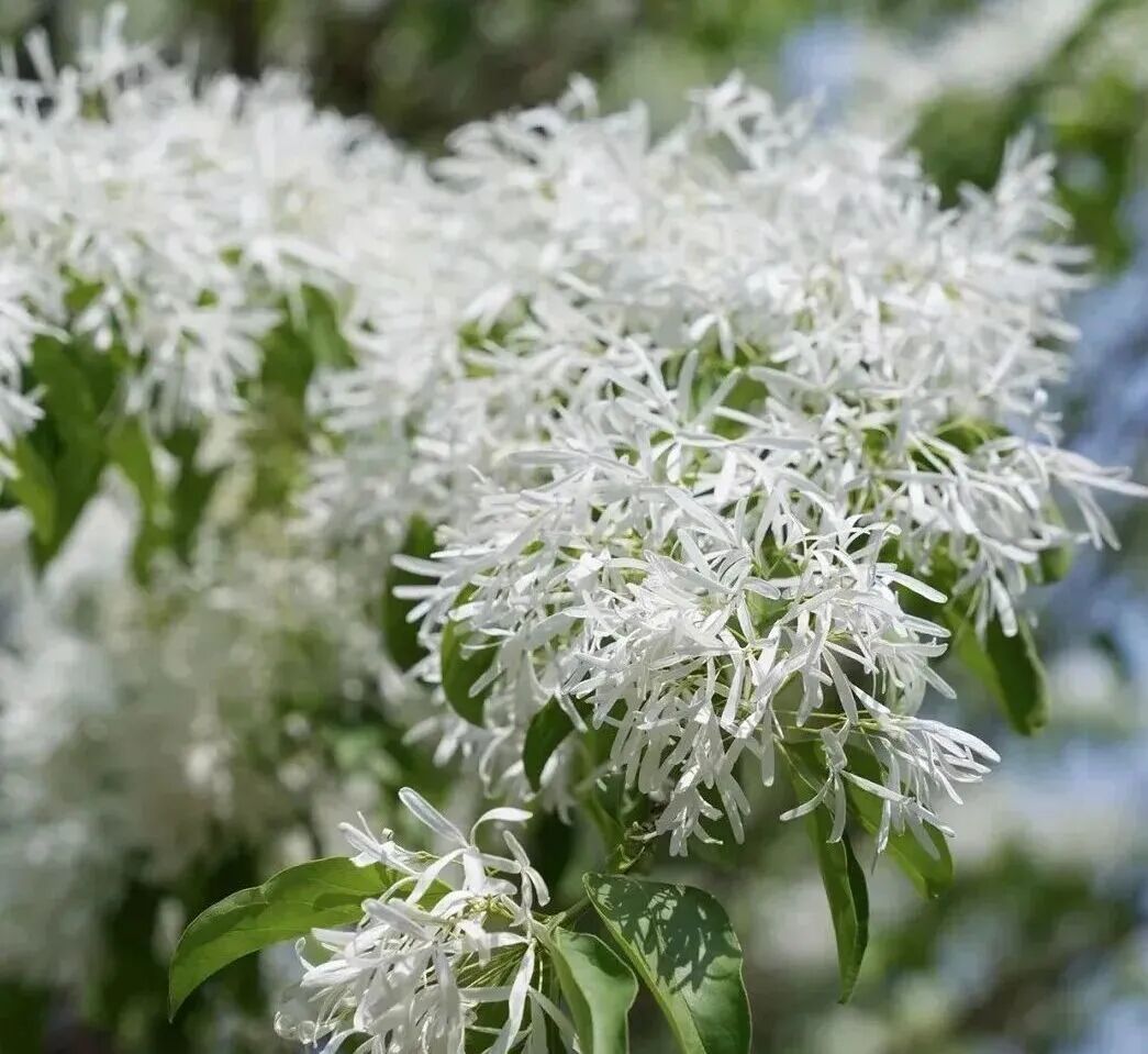 惬意修武！千年古县的正确打开方式！
