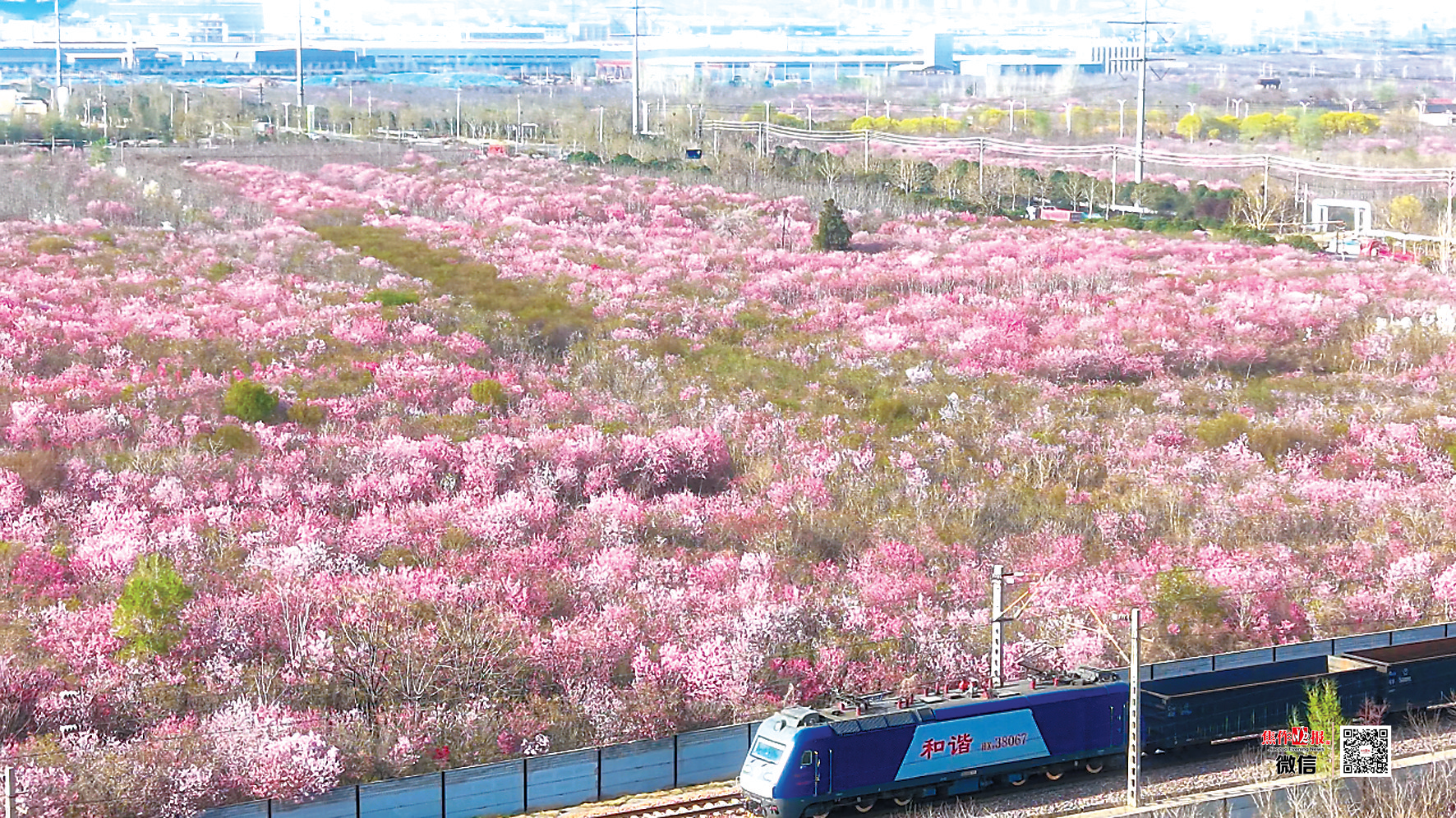 清明假期，来焦作跟着攻略这样玩！