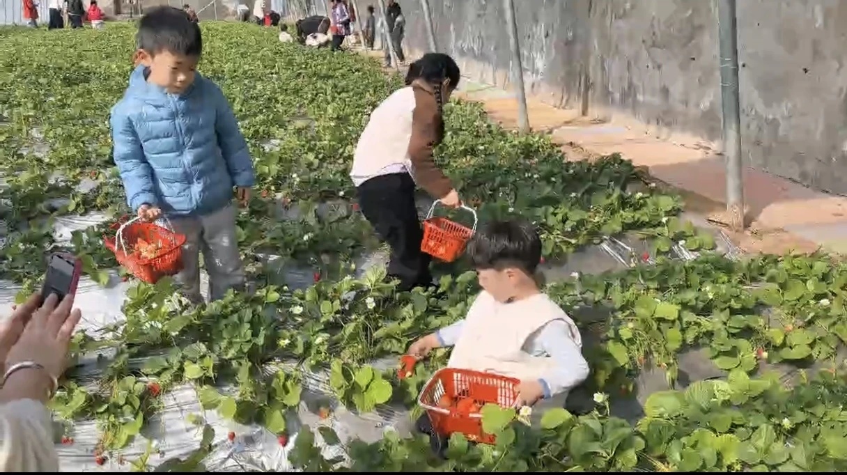 距城区车程半小时！来焦作这儿的山野赏五彩农田！