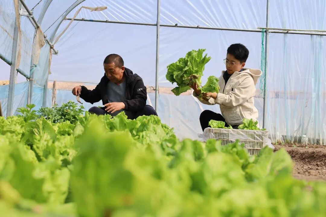 砂锅+白吉馍！焦作这个“深夜食堂”太诱人！