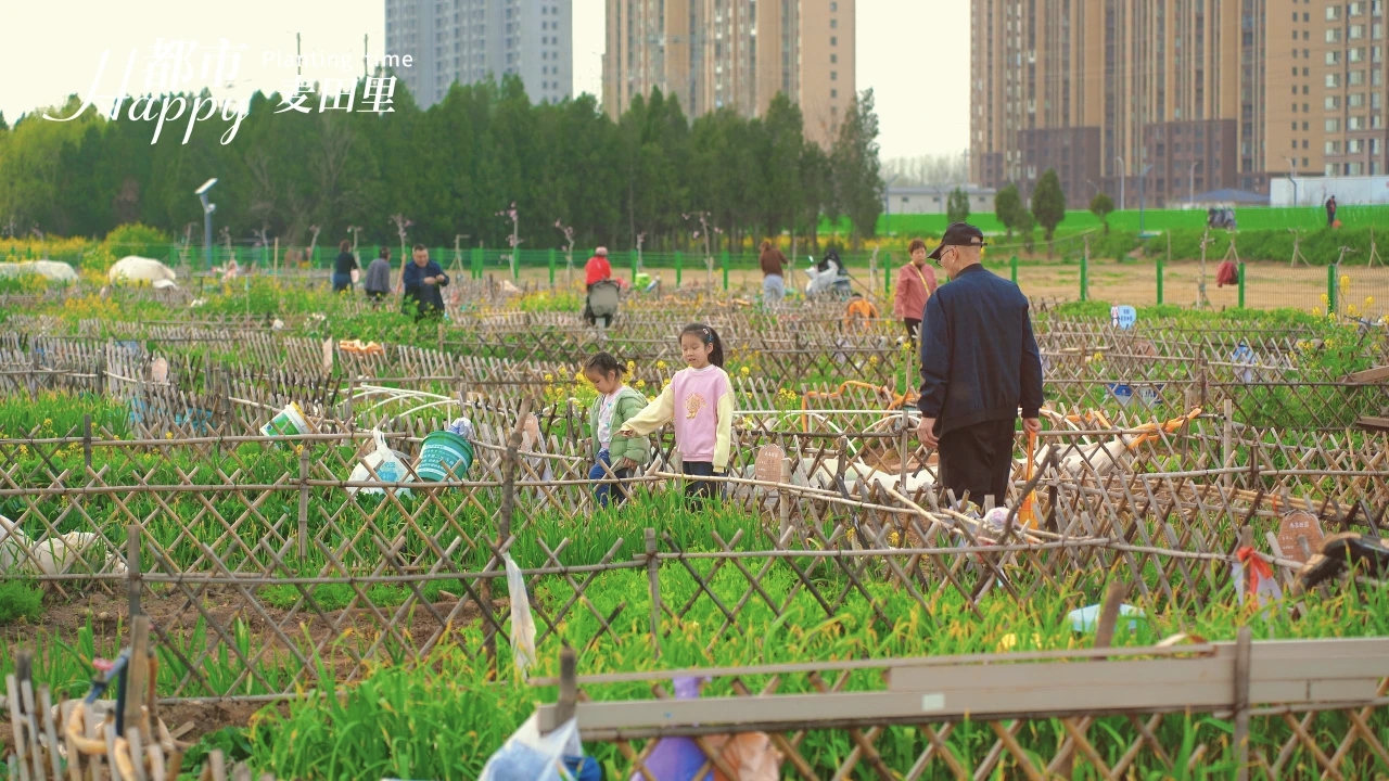 都市麦田里喊你春耕啦！