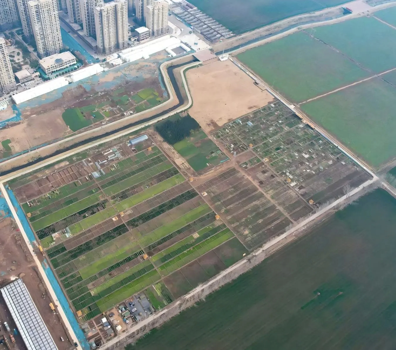 都市麦田里喊你春耕啦！