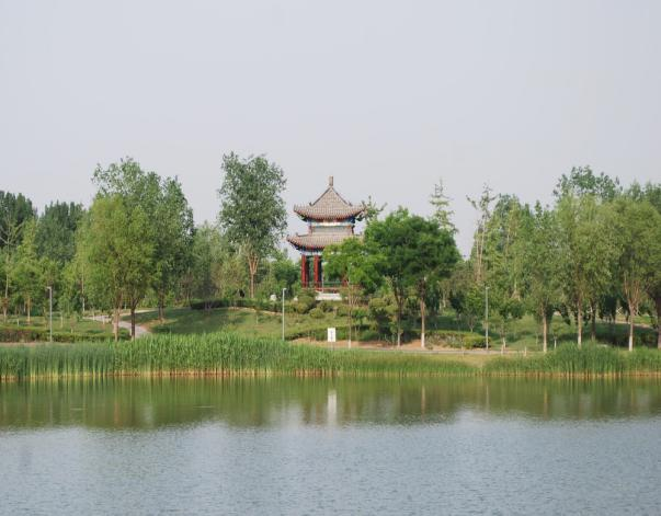 露营、研学、放风筝……来这里还原春天的样子! 露营、研学、放风筝……来这里还原春天的样子!