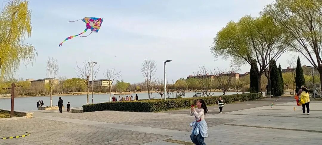 露营、研学、放风筝……来这里还原春天的样子! 露营、研学、放风筝……来这里还原春天的样子!