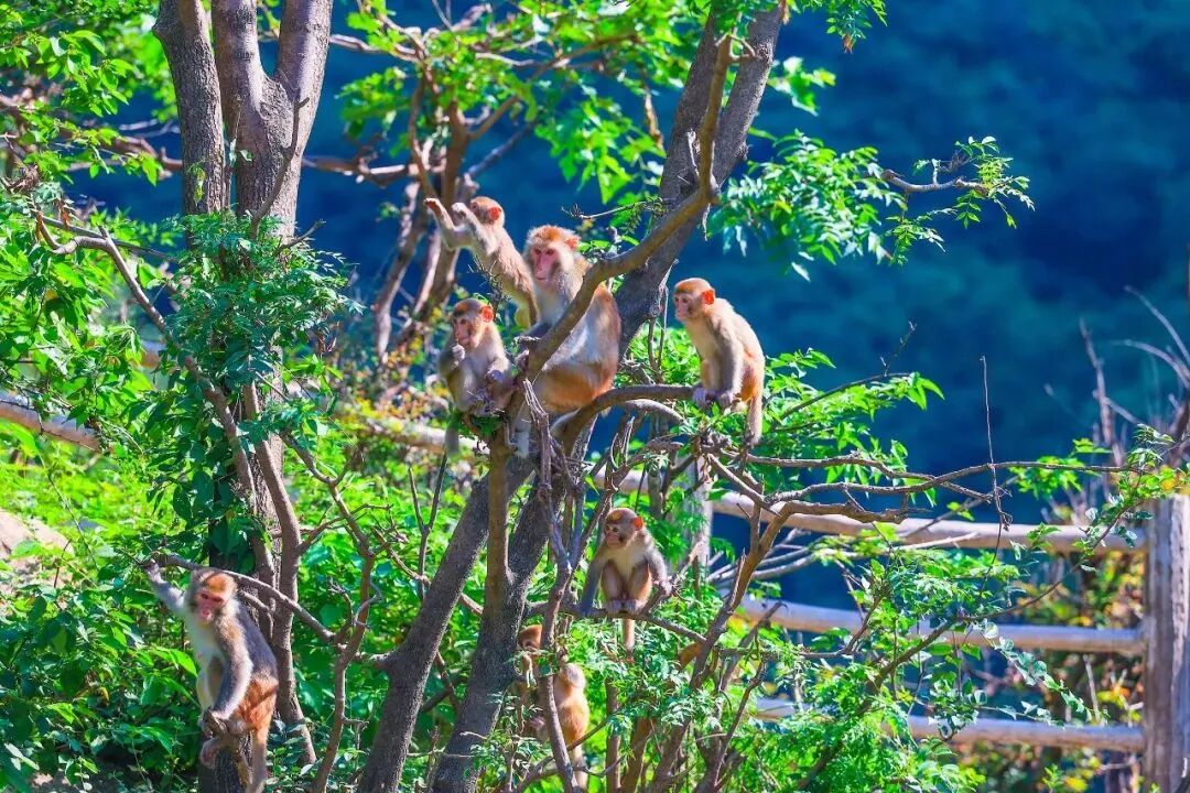 露营、研学、放风筝……来这里还原春天的样子! 露营、研学、放风筝……来这里还原春天的样子!