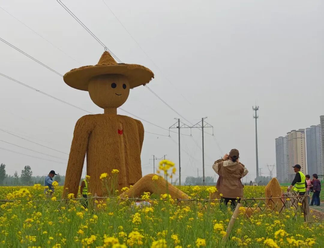 焦作城区300亩油菜花田正式开园！