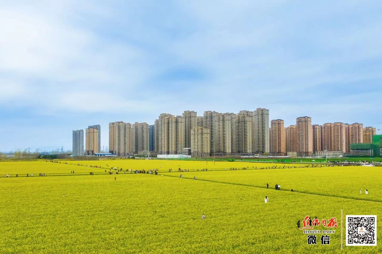 “五一”游焦作，六大主题活动必打卡！