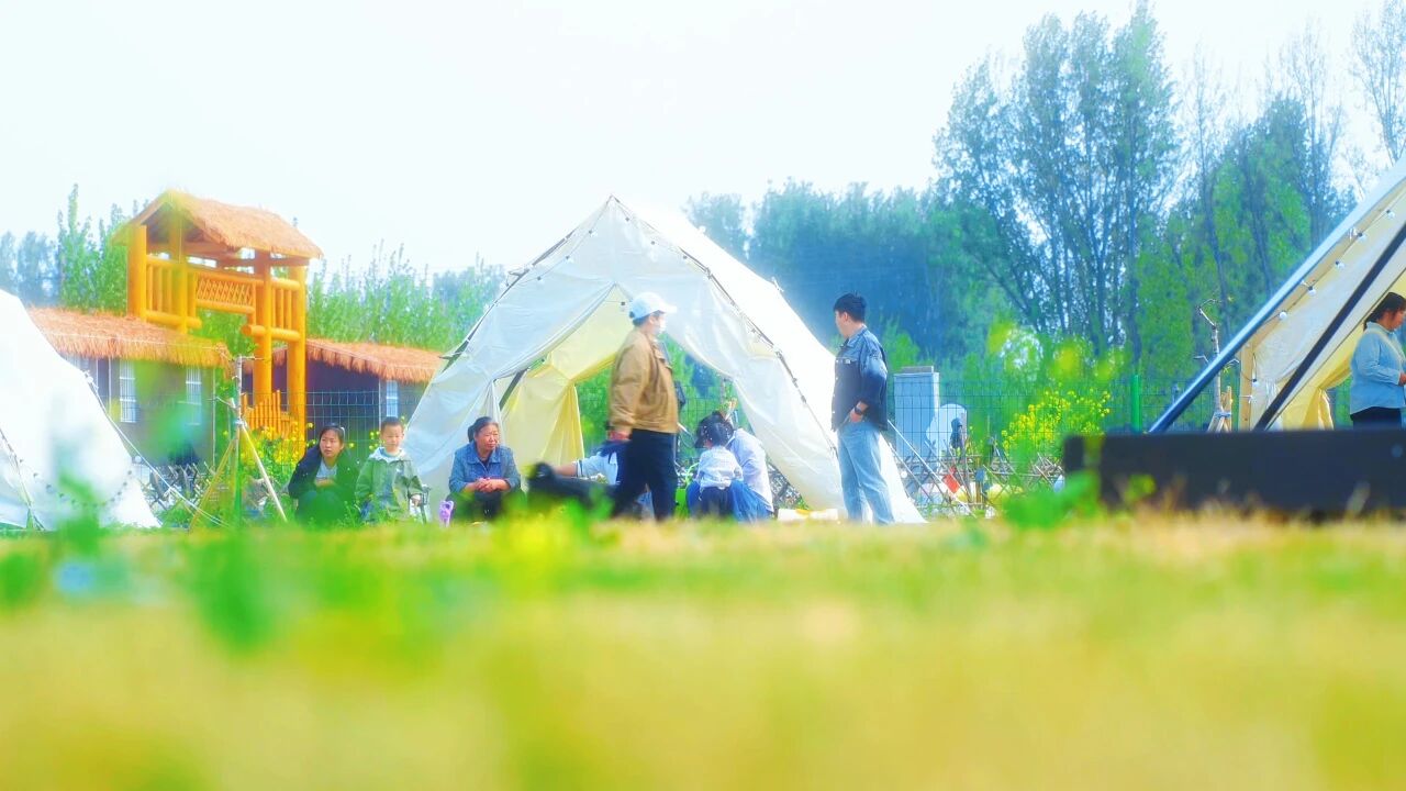 “花神”周末巡游焦作油菜花田！