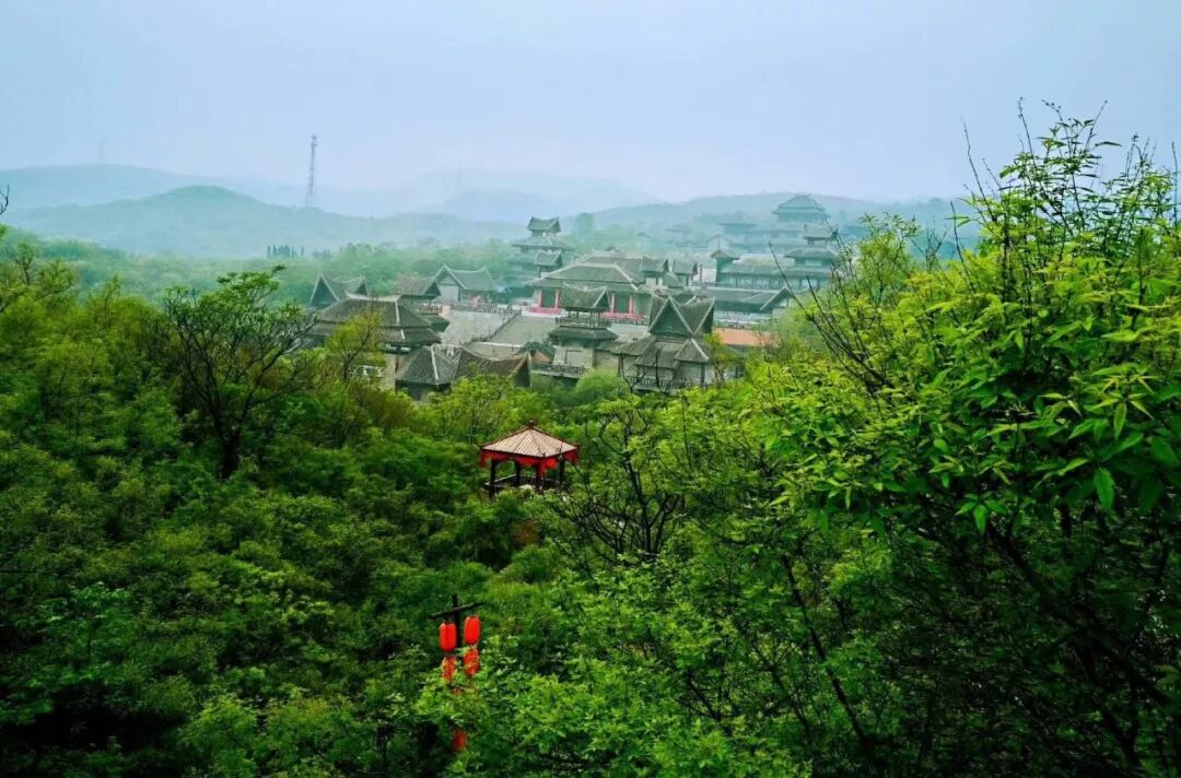周末带着妈妈来这里！免门票、免费送康乃馨！