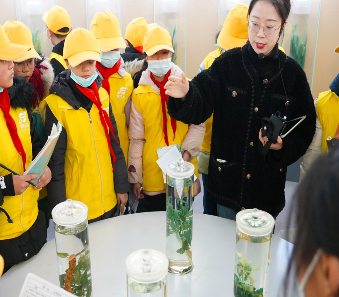 全国首家!焦作竟有这样一个博物院!
