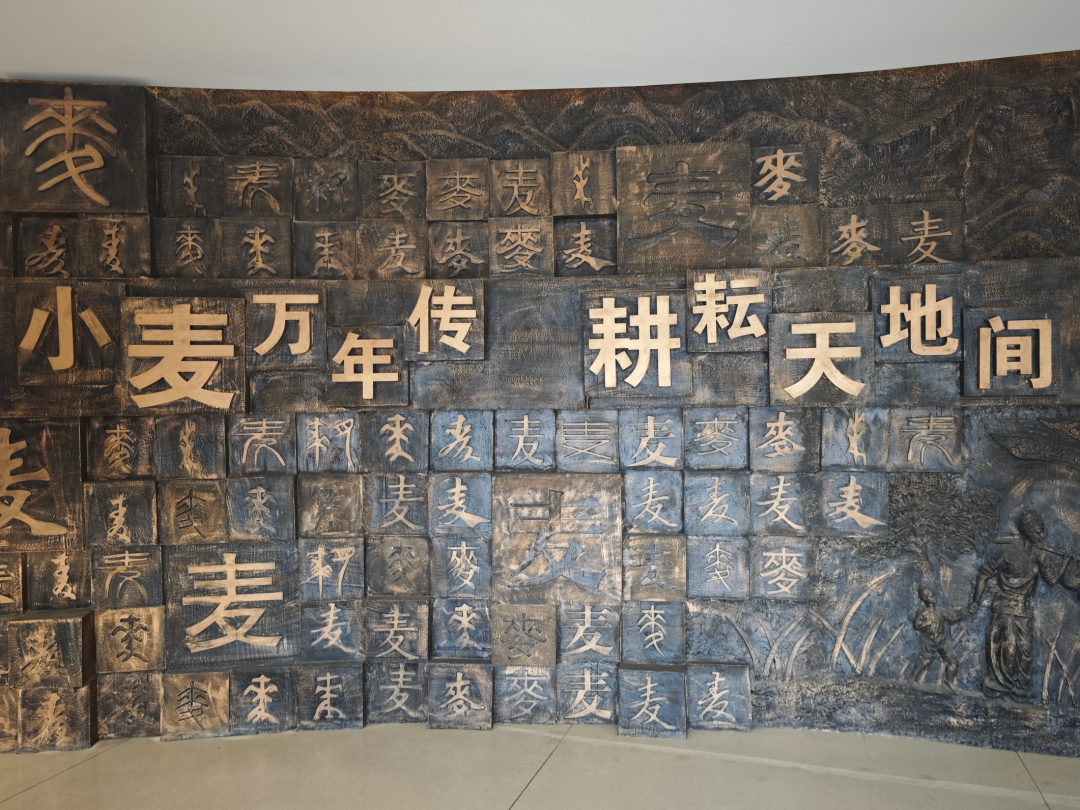 全国首家!焦作竟有这样一个博物院! 全国首家!焦作竟有这样一个博物院!