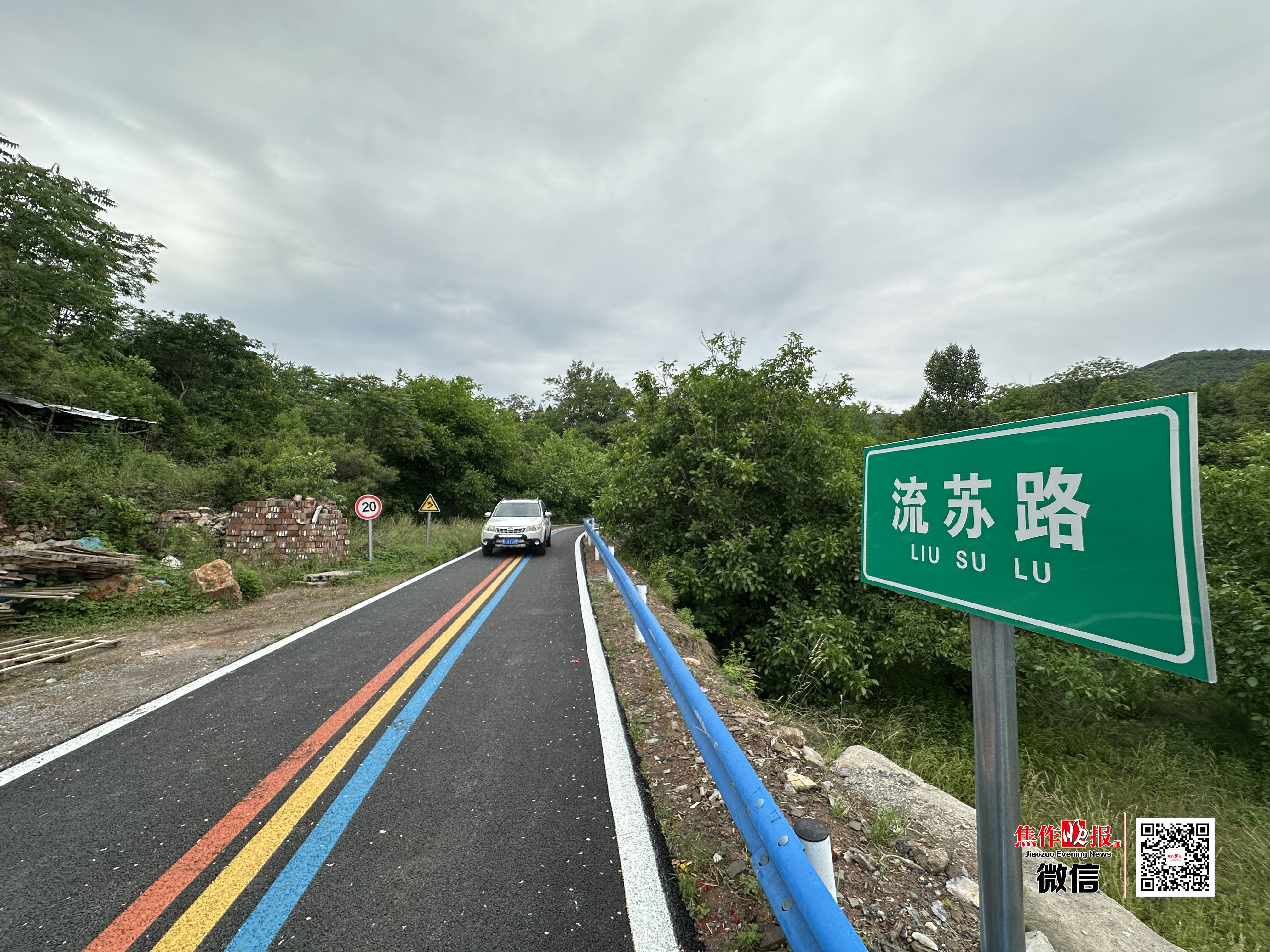 焦作有条“流苏路”！