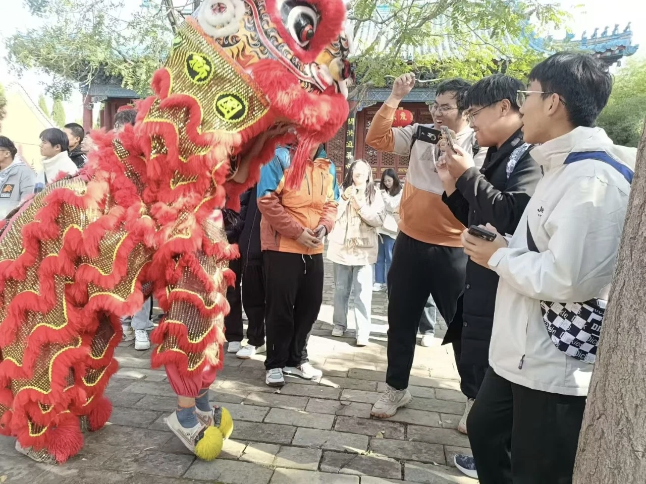 “黄河故宫”嘉应观福利全开!