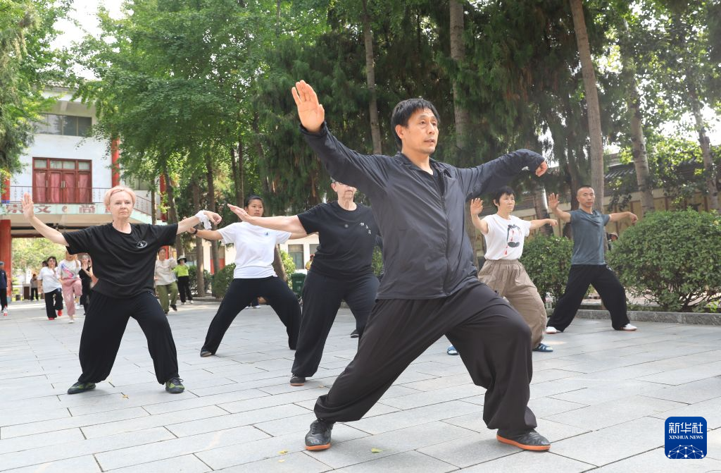 新华社报道:“洋弟子”在陈家沟!