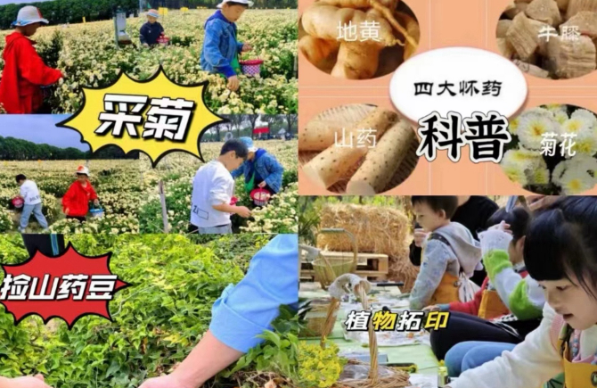 正在报名！市图书馆邀你采菊！