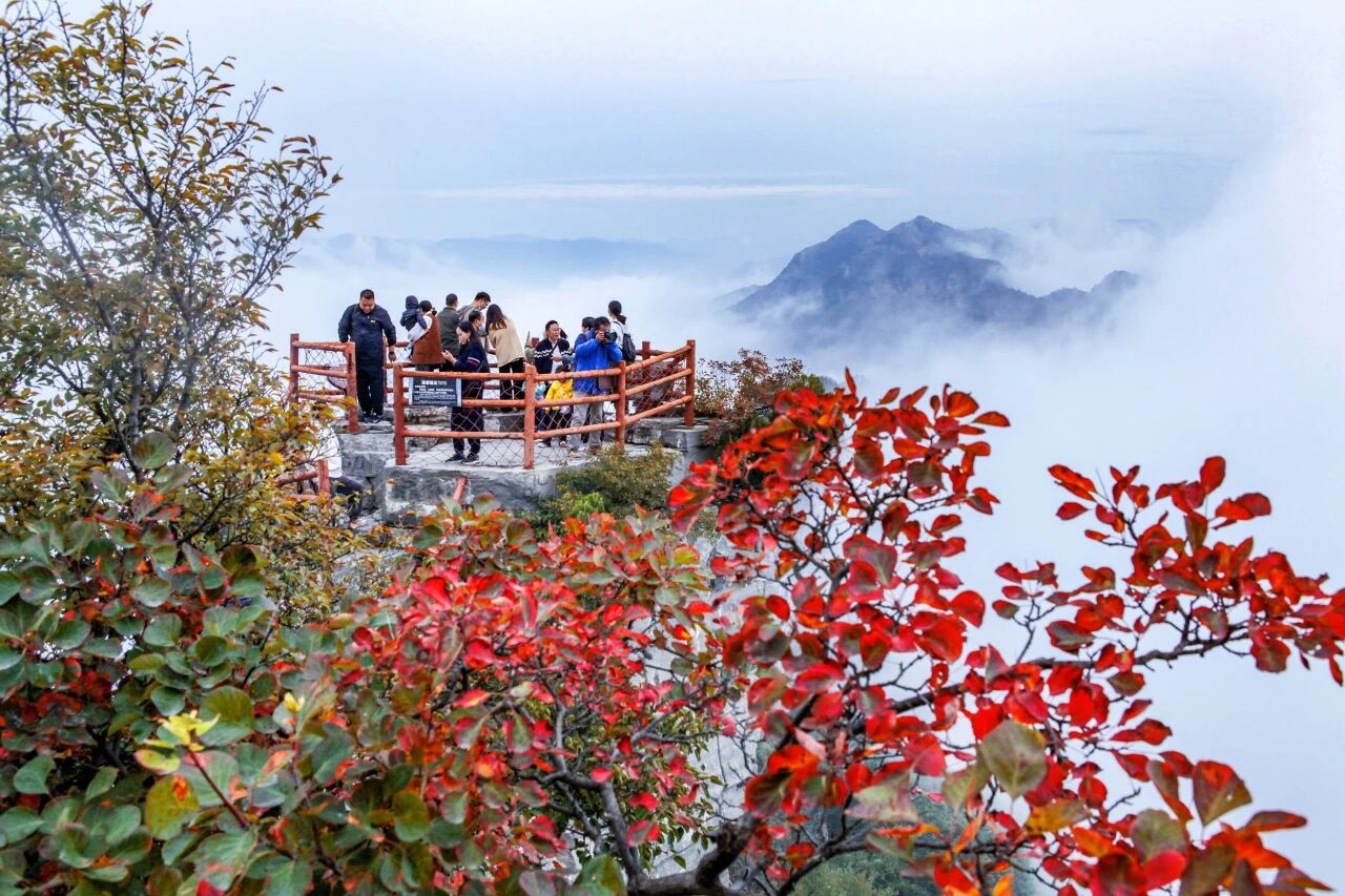 神农山红叶季10月17日启幕!多重免票福利! 神农山红叶季10月17日启幕!多重免票福利!