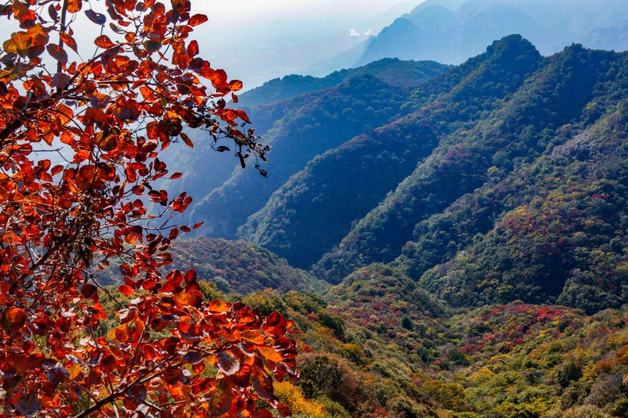 河南省第十五届“三山同登”开幕！千名健儿齐聚神农山！