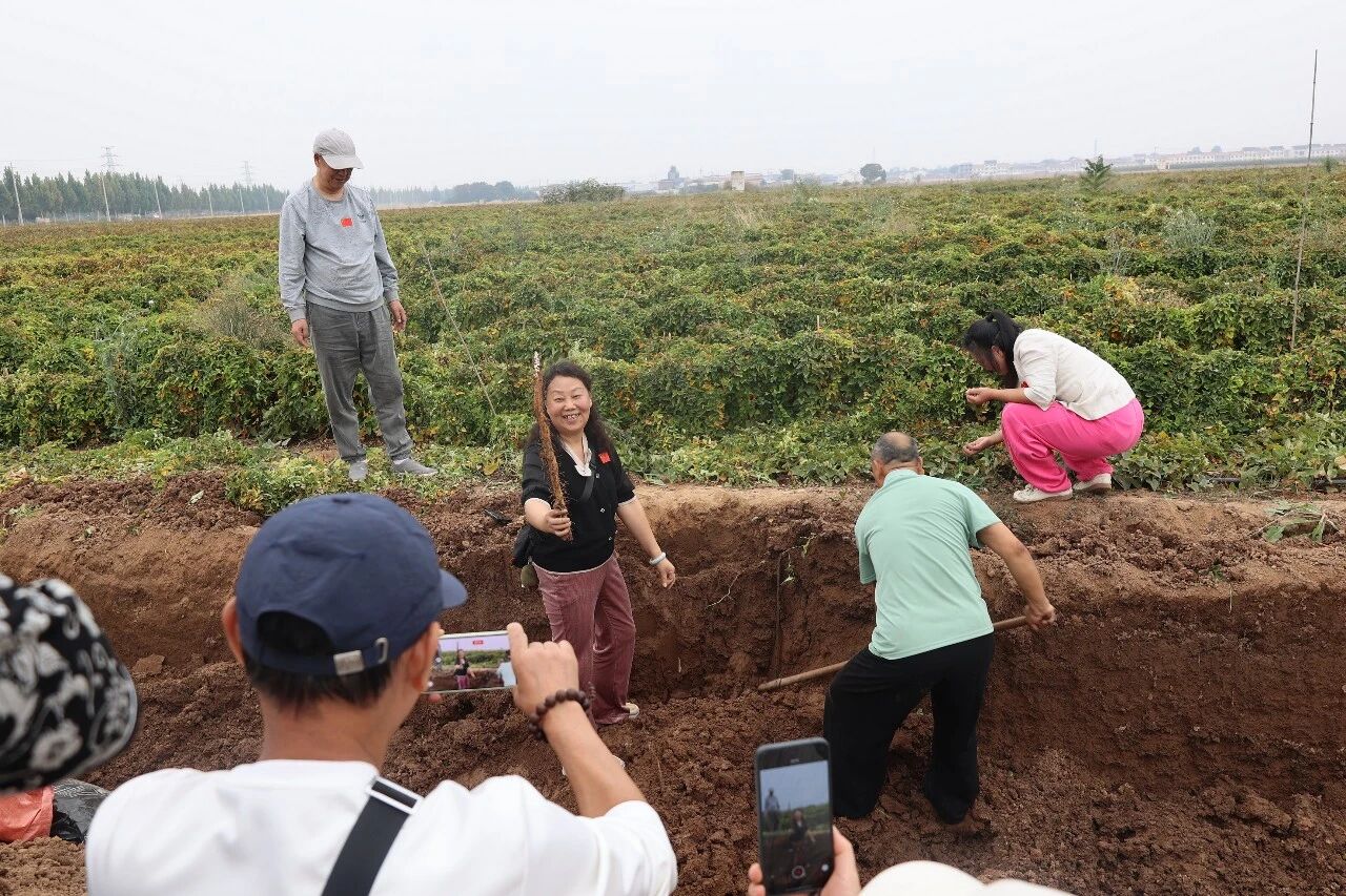 访古村、听文脉、习太极、识怀药……来陈家沟寻康养之道!