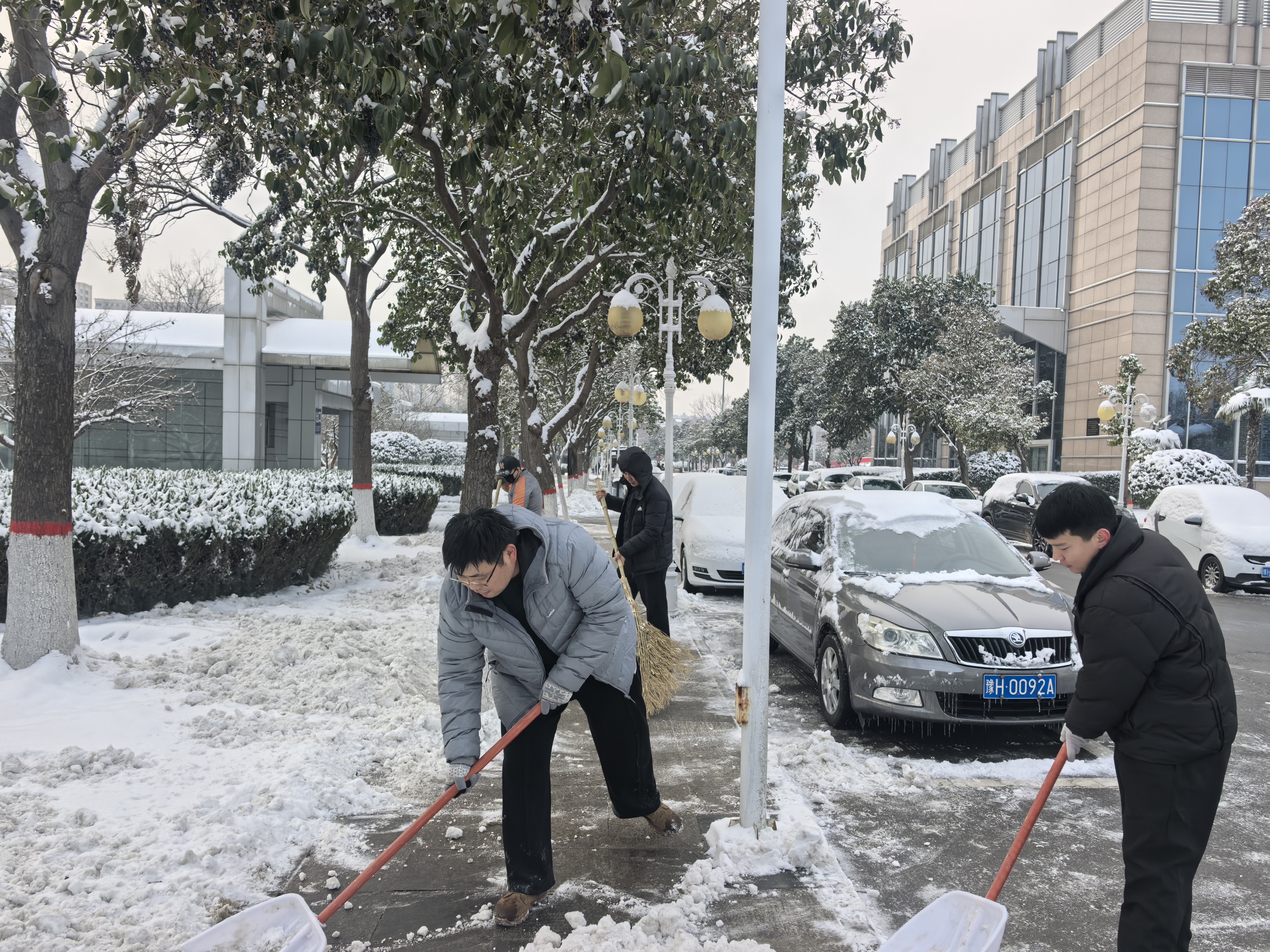 闻雪而动  除冰保畅<br>——焦作市国动办机关党支部开展扫雪除冰志愿服务