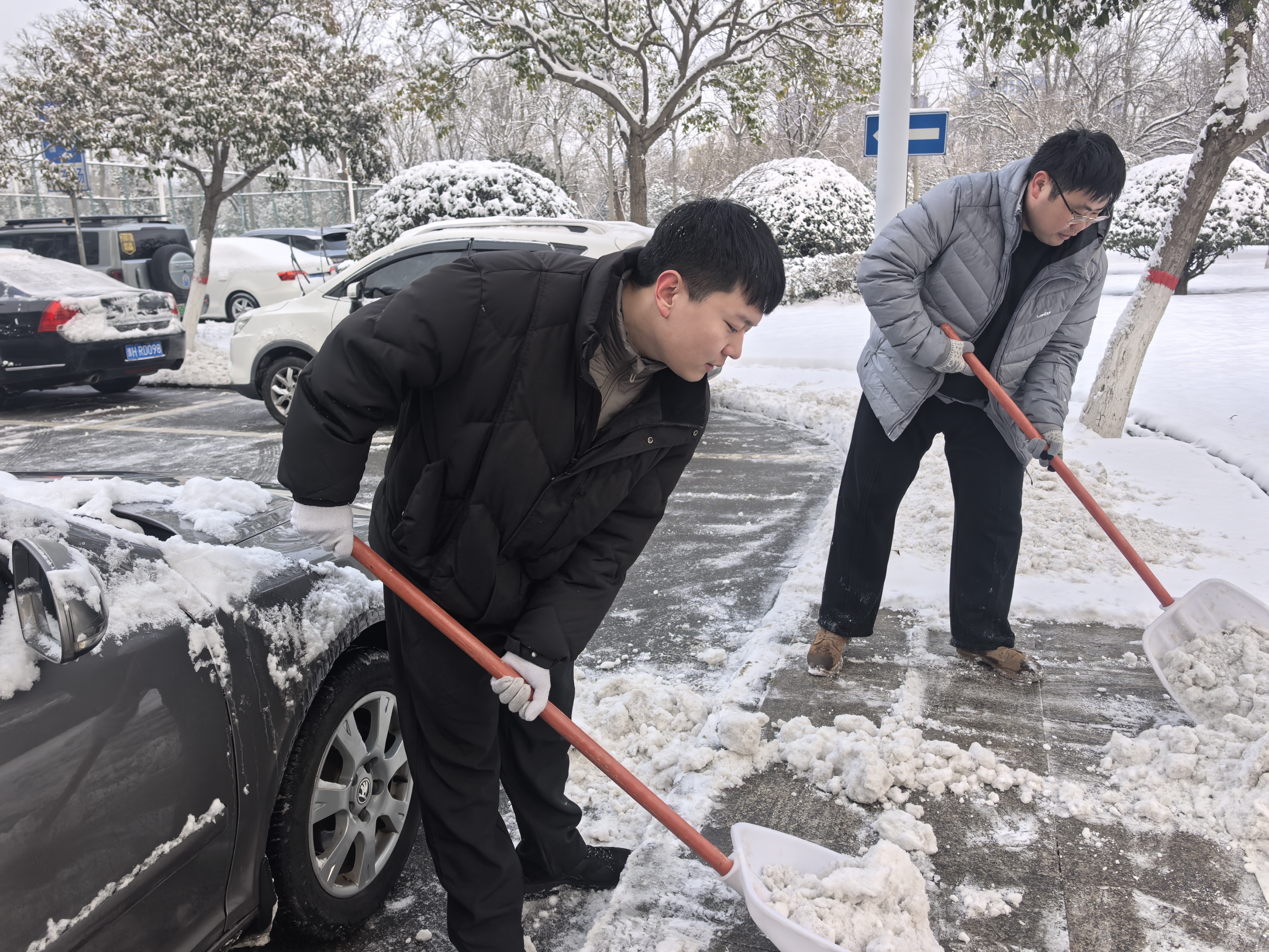 闻雪而动  除冰保畅<br>——焦作市国动办机关党支部开展扫雪除冰志愿服务