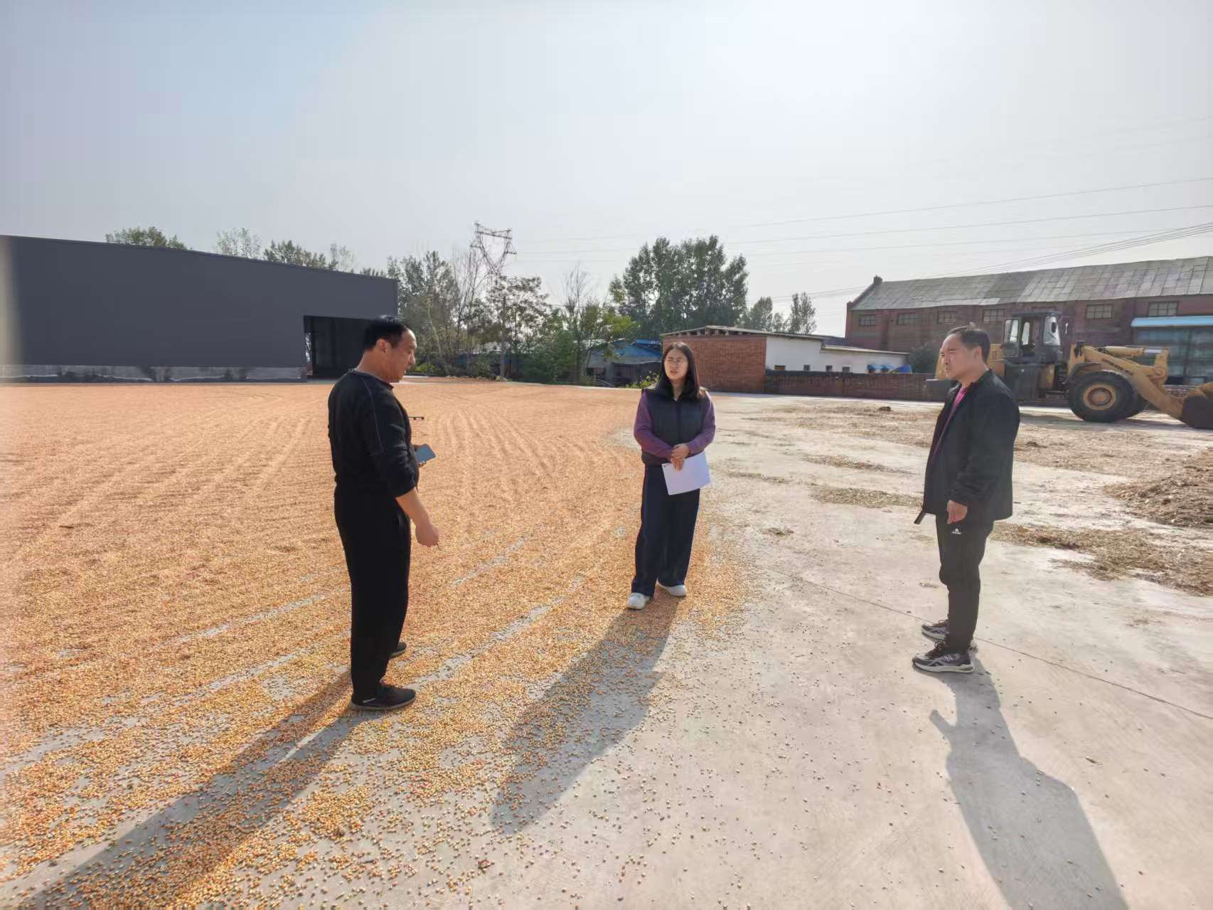 聚焦乡村振兴产业项目 筑牢资金资产安全防线