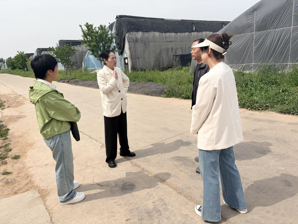 深耕田间核验实情 审计护航产业振兴